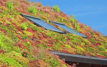 Kentish Town living roof systems