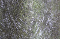 Kentish Town fibreglass roof work